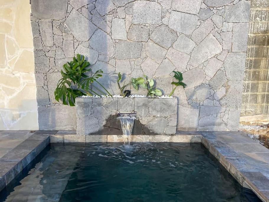 Cocoon Love Avec Piscine Privative Saint-Louis Buitenkant foto