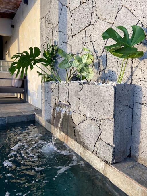 Cocoon Love Avec Piscine Privative Saint-Louis Buitenkant foto